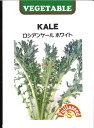 【代引不可】【送料5袋まで80円】 seed たね tane 種 種子 □ロシアンケール ホワイト ◇種子種子 葉野菜 他 種ロシアンケール ホワイト種子種子 葉野菜 他 種 seed たね tane 種 種子ロシアンケール ホワイト種子種子 葉野