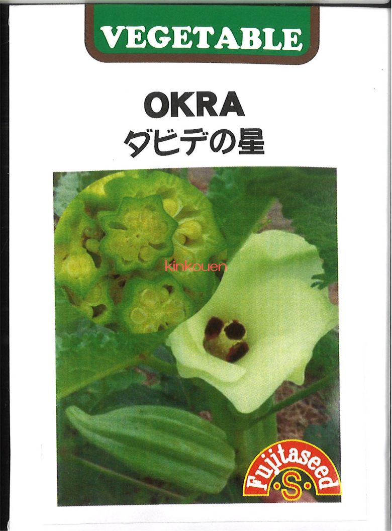 【代引不可】【送料5袋まで80円】 seed たね tane 種 種子　□オクラ ダビデの星 ◇種子種子 オクラ 種オクラ ダビデの星種子種子 オクラ 種 seed たね tane 種 種子オクラ ダビデの星種子種子 オクラ 種のサムネイル