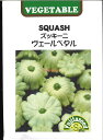 【代引不可】【送料5袋まで80円】 seed たね tane 種 種子 □ズッキーニ ウ゛ェールペタル ◇種子種子 カボチャ 種ズッキーニ ウ゛ェールペタル種子種子 カボチャ 種 seed たね tane 種 種子ズッキーニ ウ゛ェー