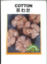 【代引不可】【送料5袋まで80円】 seed たね tane 種 種子 □茶わた ◇種子種子 花 種茶わた種子種子 花 種 seed たね tane 種 種子茶わた種子種子 花 種 seed たね tane 種 種子茶わた種子種子 花 種 see