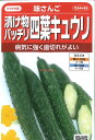 【代引不可】【送料5袋まで80円】 seed たね tane 種 種子 □味さんご 漬け物バッチリ四葉キュウリ ◇種子種子 キュウリ 種味さんご 漬け物バッチリ四葉キュウリ種子種子 キュウリ 種 seed たね tane 種 種子味さんご 漬け
