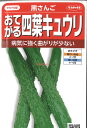 【代引不可】【送料5袋まで80円】 seed たね tane 種 種子 □黒さんご おてがる四葉キュウリ ◇種子種子 キュウリ 種黒さんご おてがる四葉キュウリ種子種子 キュウリ 種 seed たね tane 種 種子黒さんご おてがる四葉キュウリ