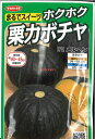 【代引不可】【送料5袋まで80円】 seed たね tane 種 種子 □ホクホク栗カボチャ メルヘン ◇種子種子 カボチャ 種ホクホク栗カボチャ メルヘン種子種子 カボチャ 種 seed たね tane 種 種子ホクホク栗カボチャ メル