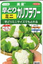 【代引不可】【送料5袋まで80円】 seed たね tane 種 種子 □美星 早どりミニカリフラワー ◇種子種子 ブロッコリー カリフラワー レタス 種美星 早どりミニカリフラワー種子種子 ブロッコリー カリフラワー レタス 種 seed たね
