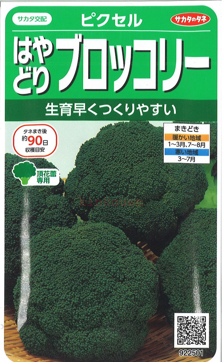 【代引不可】【送料5袋まで80円】 seed たね tane 種 種子 □ピクセル はやどりブロッコリー ◇種子種子 ブロッコリー カリフラワー レタス 種ピクセル はやどりブロッコリー種子種子 ブロッコリー カリフラワー レタス 種 s