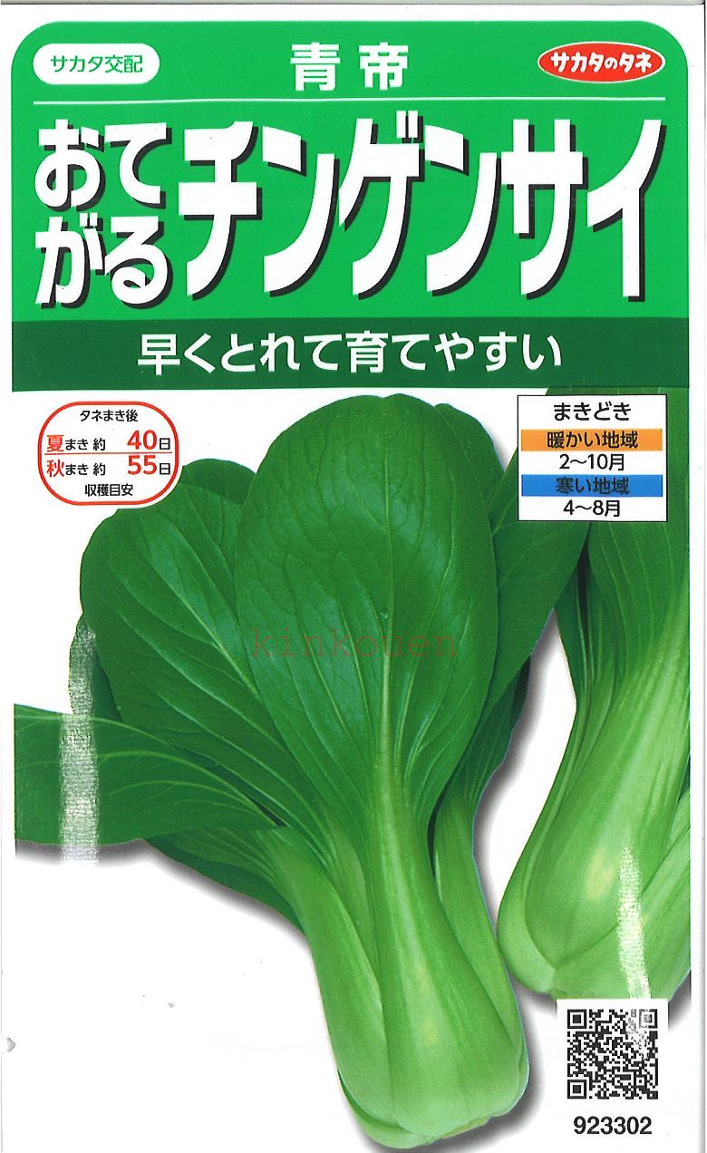 【代引不可】【送料5袋まで80円】 □ 青帝おてがるチンゲンサイ■葉野菜 他 種 葉野菜 他 種 葉野菜 他 種 葉野菜 他 種 葉野菜 他 種 葉野菜 他 種 葉野菜 他 種 葉野菜 他 種 葉野菜 他 種 葉野菜 他 種 葉野菜 他 種 葉野菜