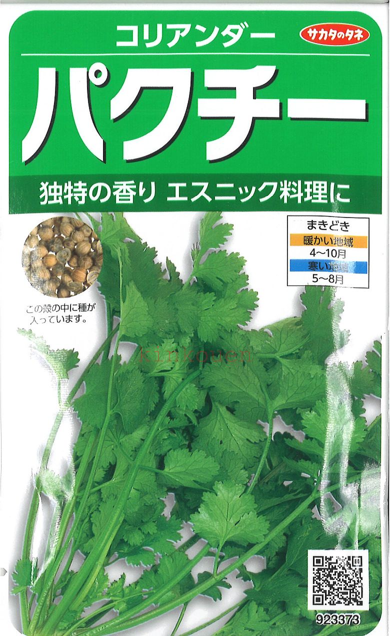  □ コリアンダーパクチー■葉野菜 他 種ハーブ 種 葉野菜 他 種ハーブ 種 葉野菜 他 種ハーブ 種 葉野菜 他 種ハーブ 種 葉野菜 他 種ハーブ 種 葉野菜 他 種ハーブ 種 葉野菜 他 種ハーブ 種 葉