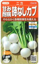  □ 二刀甘み耐病時なしカブ■種子 大根 カブ 種 種子 大根 カブ 種 種子 大根 カブ 種 種子 大根 カブ 種 種子 大根 カブ 種 種子 大根 カブ 種 種子 大根 カブ 種 種子 大根 カブ 種 種子 大