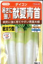  □ ダイコン暑さに強い献夏青首■種子 大根 カブ 種 種子 大根 カブ 種 種子 大根 カブ 種 種子 大根 カブ 種 種子 大根 カブ 種 種子 大根 カブ 種 種子 大根 カブ 種 種子 大根 カブ 種 種子