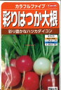 【代引不可】【送料5袋まで80円】 □ カラフルファイブ彩りはつか大根■種子 大根 カブ 種 種子 大根 カブ 種 種子 大根 カブ 種 種子 大根 カブ 種 種子 大根 カブ 種 種子 大根 カブ 種 種子 大根 カブ 種 種子 大根 カブ 種 その1