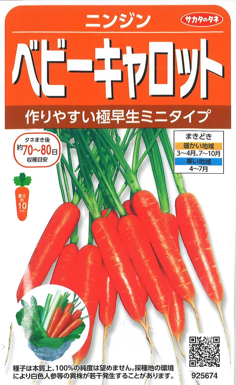 【代引不可】【送料5袋まで80円】 ニンジンベビーキャロット 種子 人参 種 種子 人参 種 種子 人参 種 種子 人参 種 種子 人参 種 種子 人参 種 種子 人参 種 種子 人参 種 種子 人参 種 種子 …