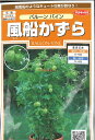 【代引不可】【送料5袋まで80円】 seed たね tane 種 種子 □バルーンバイン 風船かずら ◇種子種子 花 種バルーンバイン 風船かずら種子種子 花 種 seed たね tane 種 種子バルーンバイン 風船かずら種子種子 花