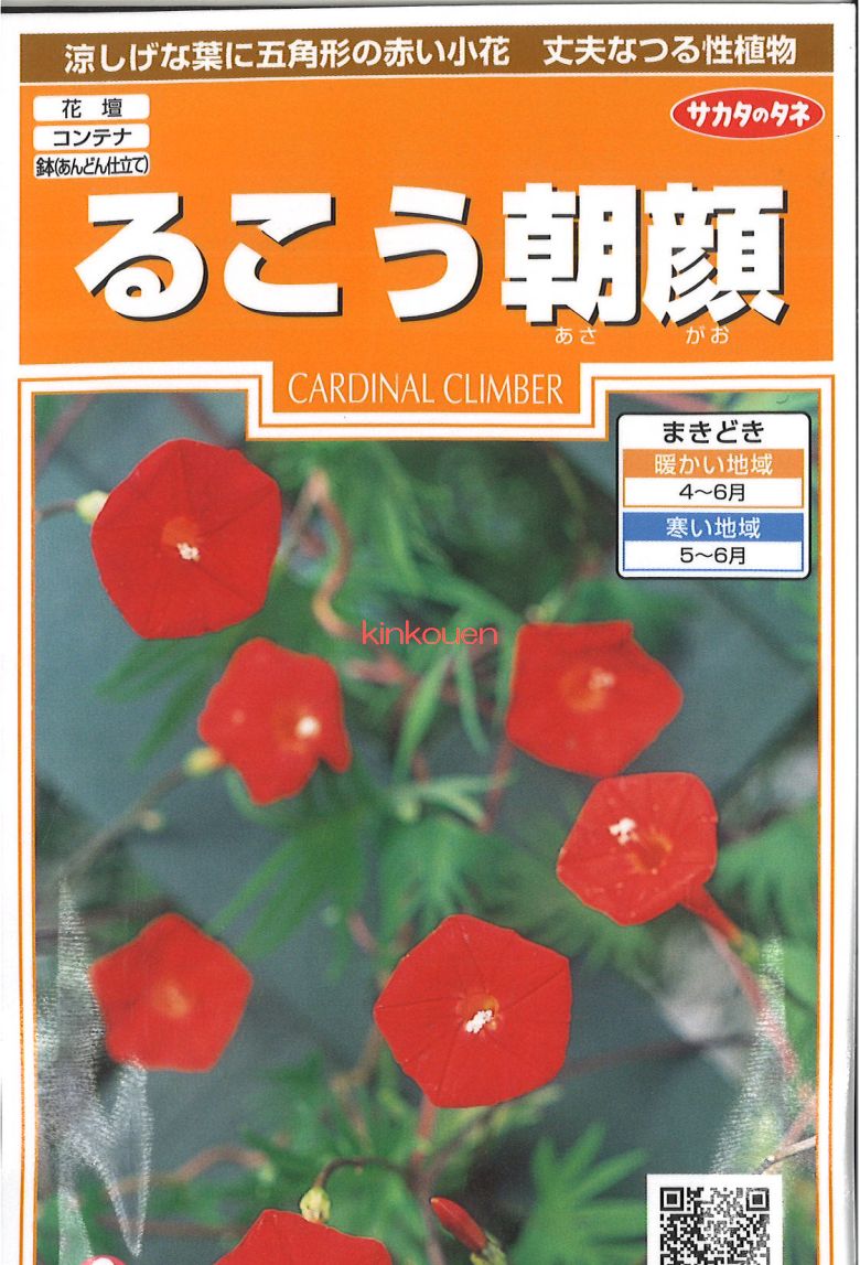 【代引不可】【送料5袋まで80円】◇ seed たね tane 種 種子 タネ □るこう朝顔サカタのタネ実咲みさきシリーズ■花 種 花 種 花 種 花 種 花 種 花 種 花 種 花 種 花 種 花 種 花 種 花 種 花 種■花 種 花 種 花のサムネイル