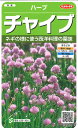 【代引不可】【送料5袋まで80円】 □ ハーブチャイブ■ハーブ 種種子 種子そ 他 ハーブ 種種子 種子そ 他 ハーブ 種種子 種子そ 他 ハーブ 種種子 種子そ 他 ハーブ 種種子 種子そ 他 ハーブ 種種子 種子そ 他 ハーブ 種種子 種子そ