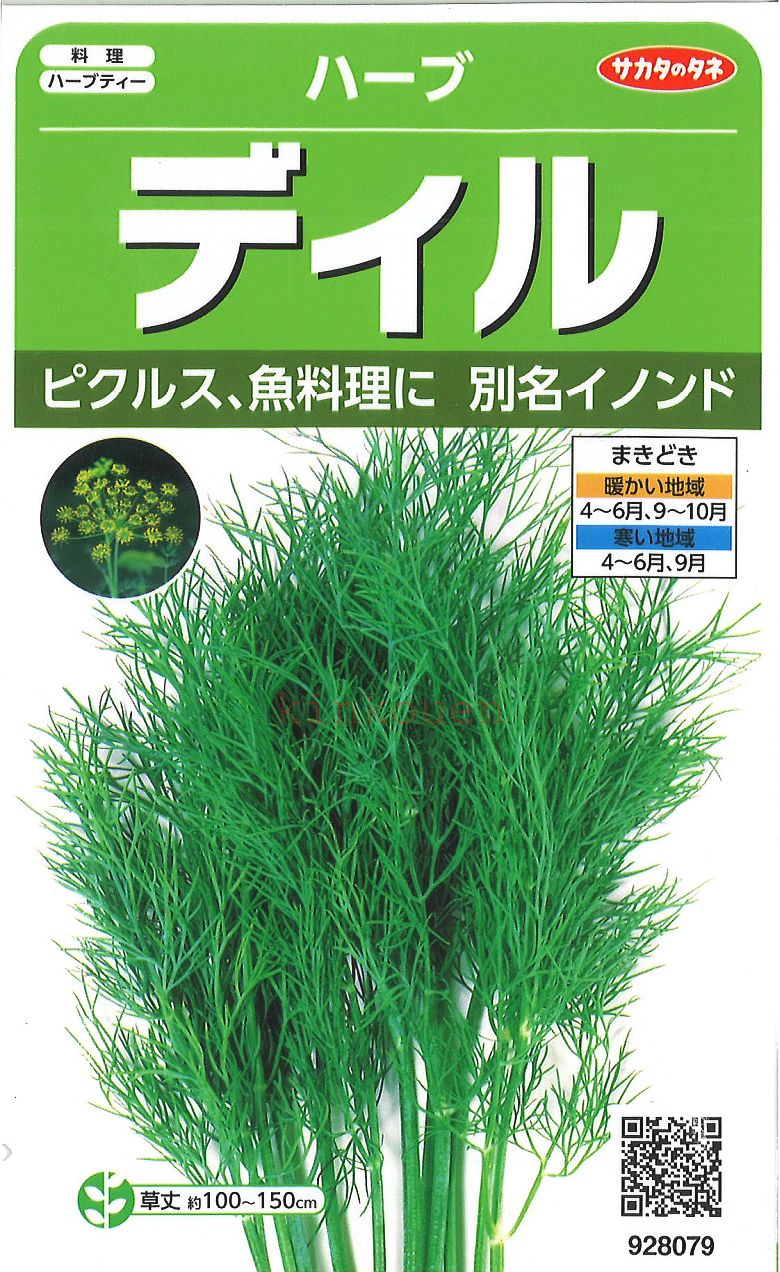 【代引不可】【送料5袋まで80円】 □ ハーブディル■ハーブ 種種子 種子そ 他 ハーブ 種種子 種 ...