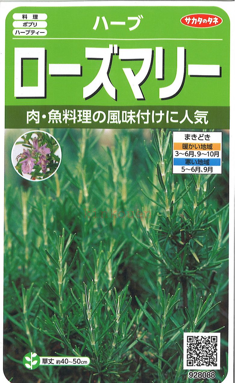  □ ハーブローズマリー■ハーブ 種種子 種子そ 他花 種 ハーブ 種種子 種子そ 他花 種 ハーブ 種種子 種子そ 他花 種 ハーブ 種種子 種子そ 他花 種 ハーブ 種種子 種子そ 他花 種 ハーブ 種種子