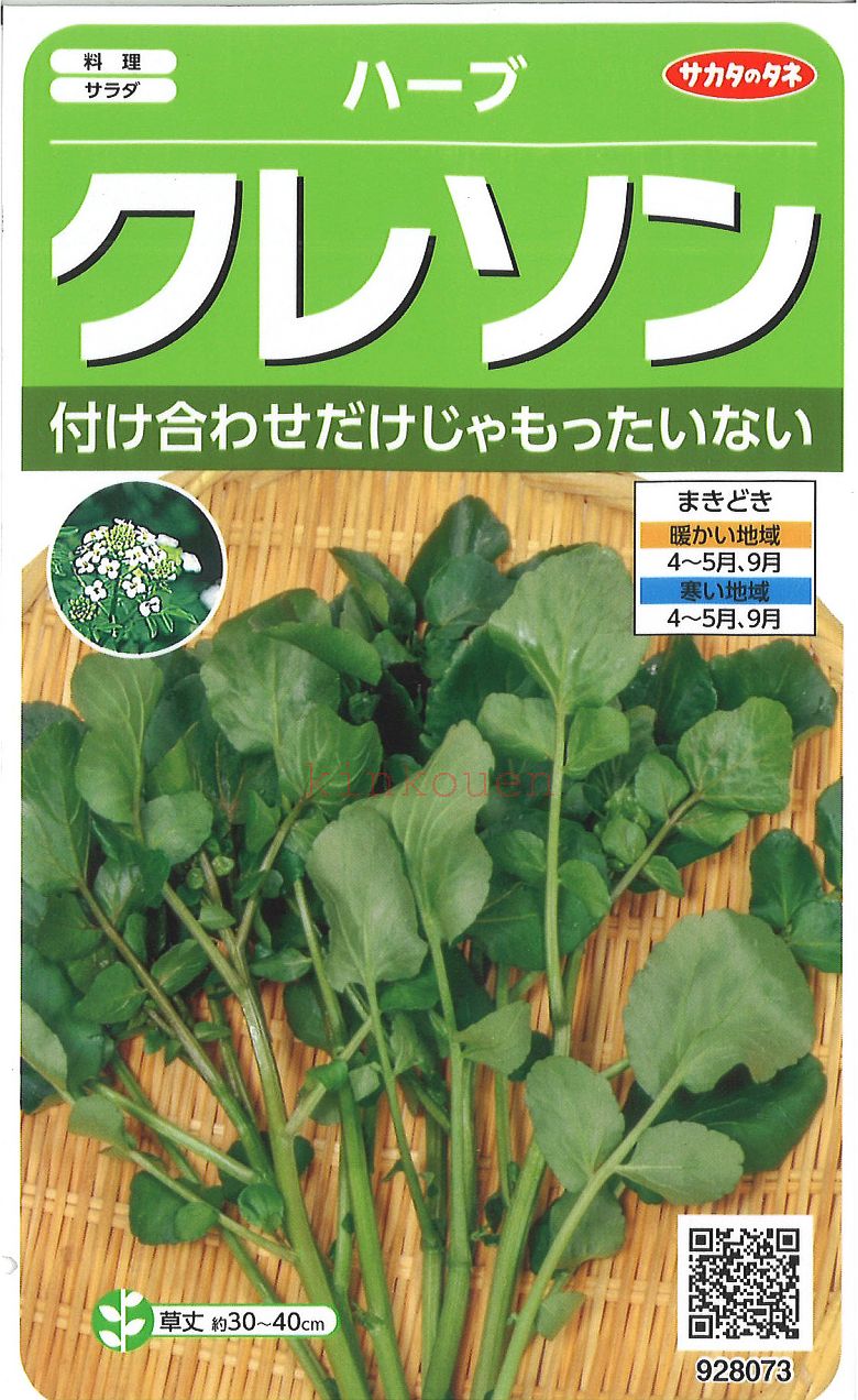 【代引不可】【送料5袋まで80円】 □ ハーブクレソン■ハーブ 種種子 種子そ 他 ハーブ 種種子 種子そ 他 ハーブ 種種子 種子そ 他 ハーブ 種種子 種子そ 他 ハーブ 種種子 種子そ 他 ハーブ 種種子 種子そ 他 ハーブ 種種子 種子そ