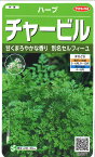 【代引不可】【送料5袋まで80円】 □ ハーブチャービル■ハーブ 種種子 種子そ 他 ハーブ 種種子 種子そ 他 ハーブ 種種子 種子そ 他 ハーブ 種種子 種子そ 他 ハーブ 種種子 種子そ 他 ハーブ 種種子 種子そ 他 ハーブ 種種子 種子