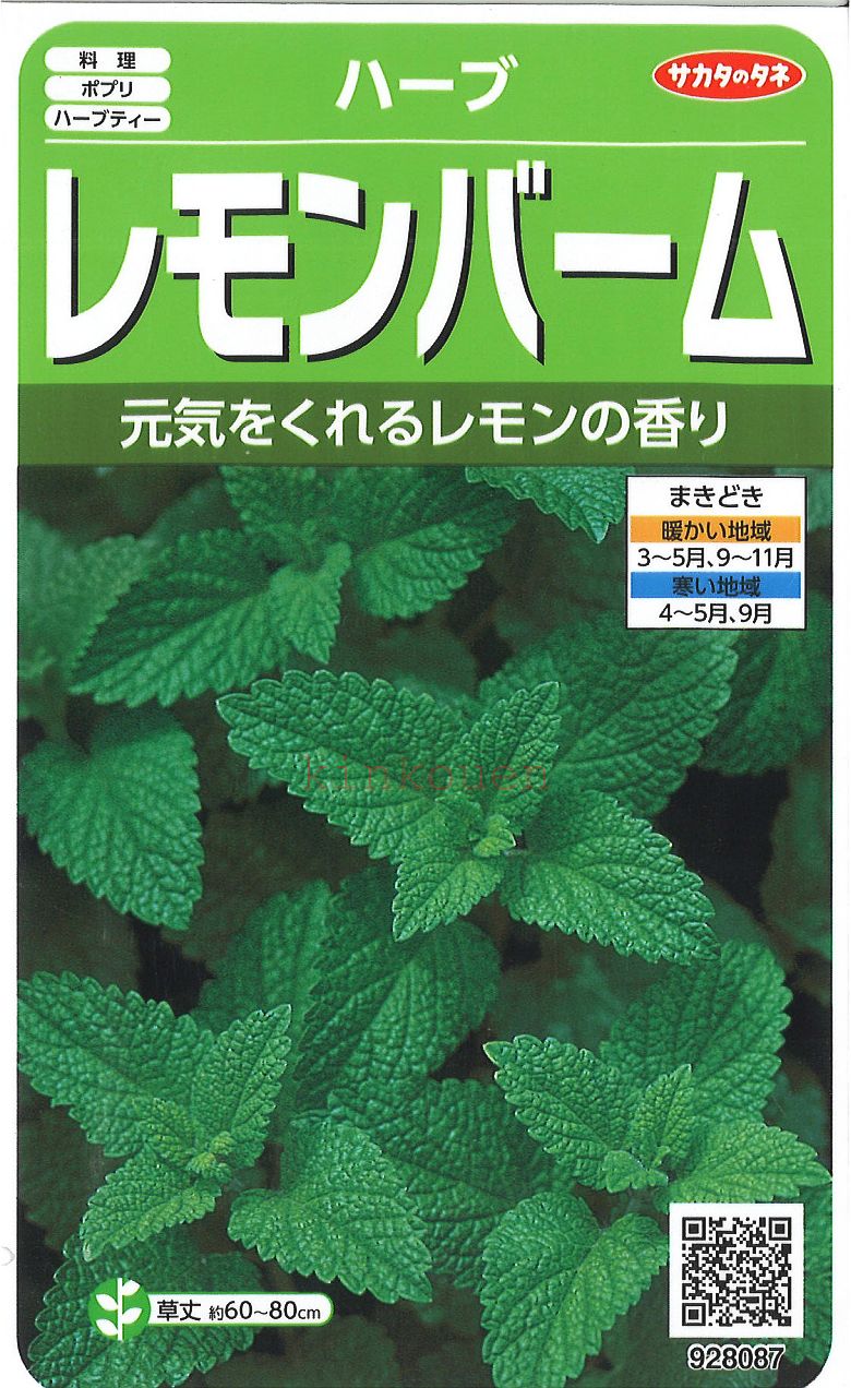 【代引不可】【送料5袋まで80円】 □ ハーブレモンバーム■ハーブ 種種子 種子そ 他 ハーブ 種種子 種子そ 他 ハーブ 種種子 種子そ 他 ハーブ 種種子 種子そ 他 ハーブ 種種子 種子そ 他 ハーブ 種種子 種子そ 他 ハーブ 種種子 種