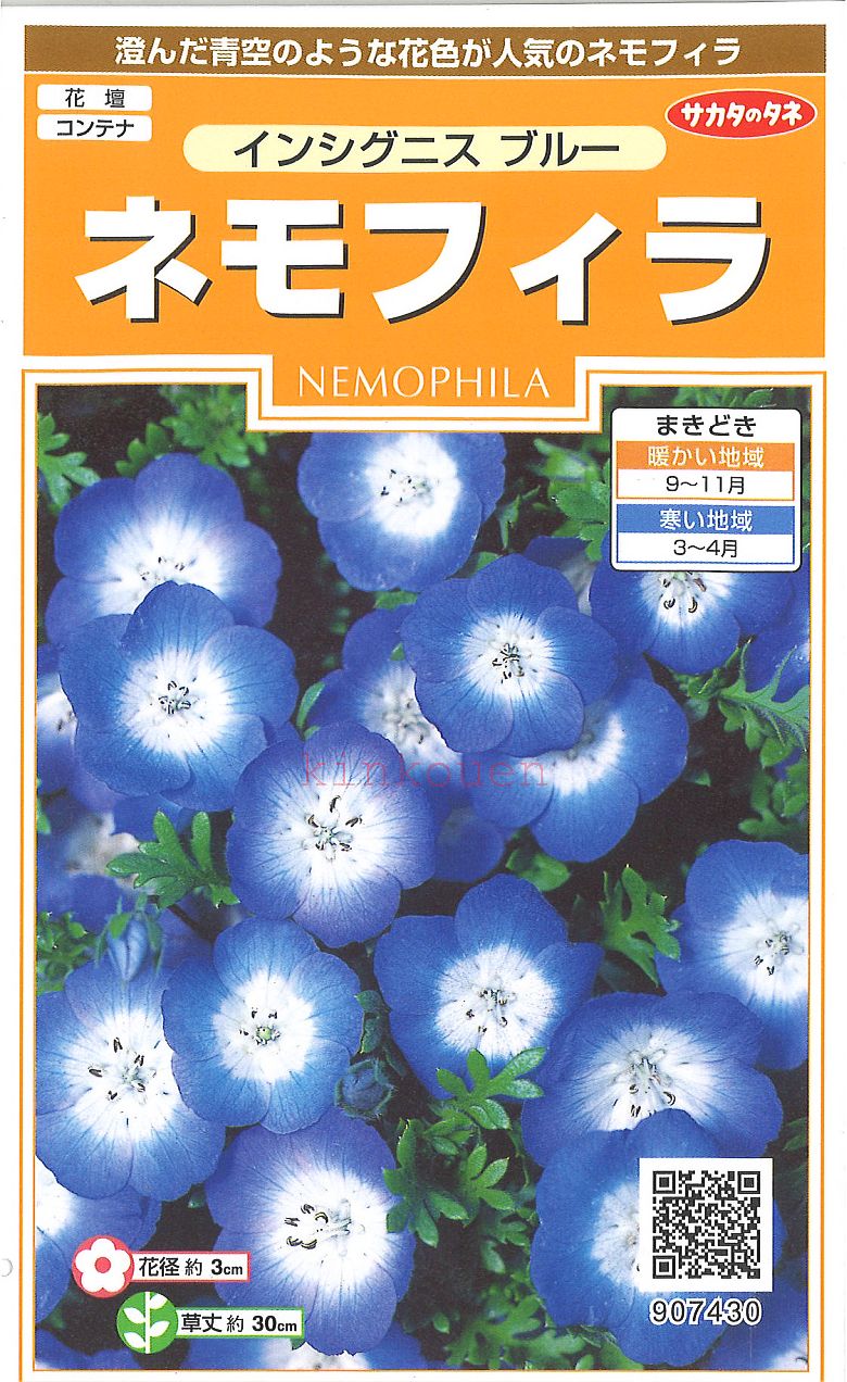 【代引不可】【送料5袋まで80円】 □ インシグニスブルーネモフィラねもふぃら■種子 種子そ 他花 種 種子 種子そ 他花 種 種子 種子そ 他花 種 種子 種子そ 他花 種 種子 種子そ 他花 種 種子 種子そ 他花 種 種子 種子そ 他花 種 種子 種