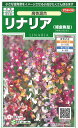 【代引不可】【送料5袋まで80円】 □リナリア 姫金魚草 高性混合