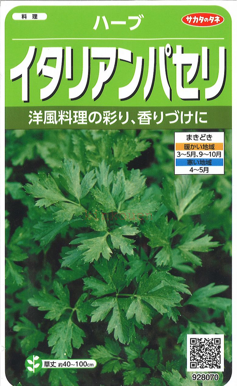 【ハーブの種】チャービル（セルフィーユ）【サカタのタネ】5.9ml【耐寒性一～ニ年草】[春まき][秋まき]928077