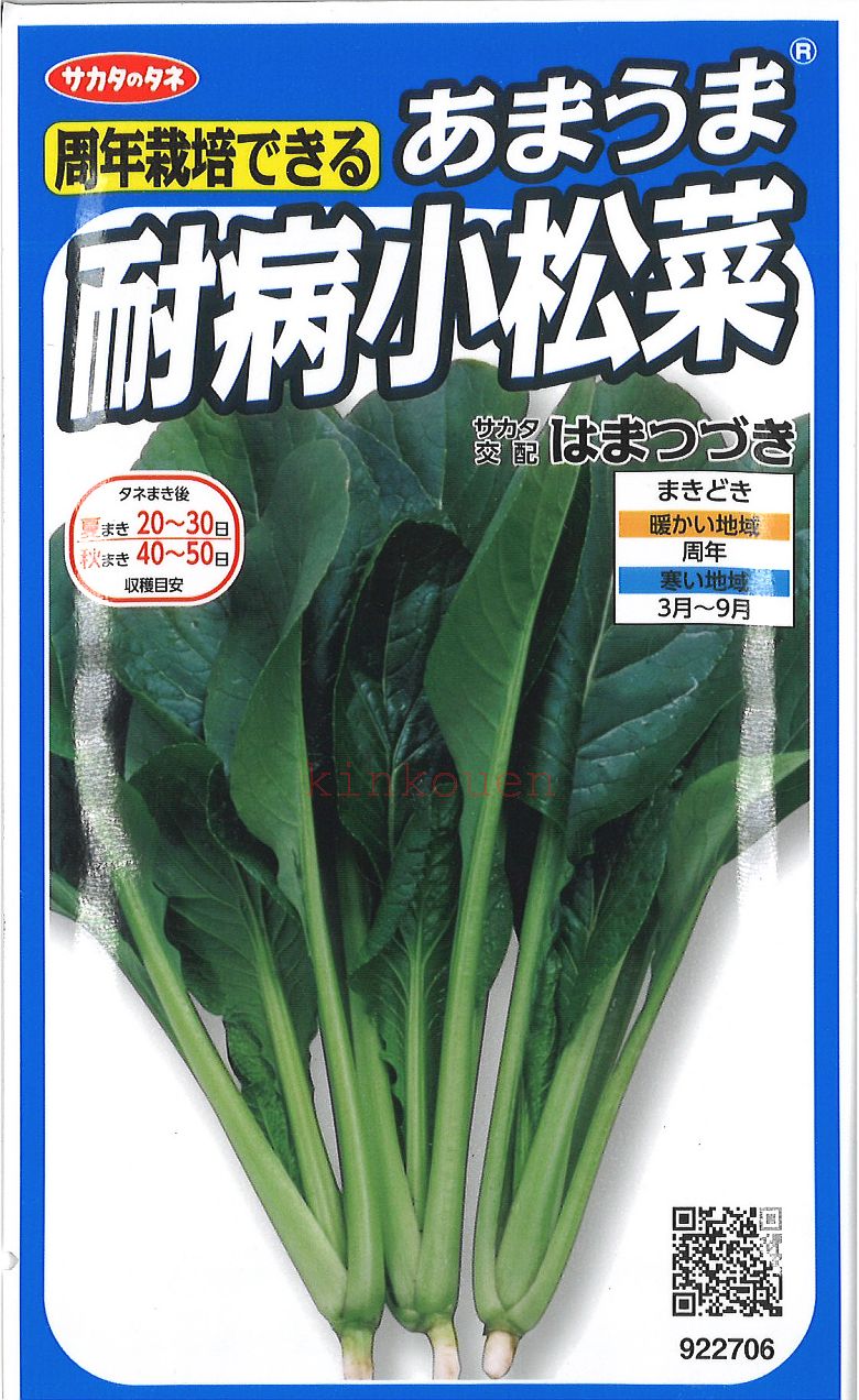 【代引不可】【送料5袋まで80円】 □ あまうま耐病小松菜はまつづき■種子 コマツ菜 種種子 種子そ 他 種子 コマツ菜 種種子 種子そ 他 種子 コマツ菜 種種子 種子そ 他 種子 コマツ菜 種種子 種子そ 他 種子 コマツ菜 種種子 種子そ 他 1