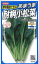 【代引不可】【送料5袋まで80円】 □ あまうま耐病小松菜はまつづき■種子 コマツ菜 種種子 種子そ 他 種子 コマツ菜 種種子 種子そ 他 種子 コマツ菜 種種子 種子そ 他 種子 コマツ菜 種種子 種子そ 他 種子 コマツ菜 種種子 種子そ 他