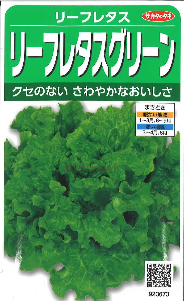  □ リーフレタスリーフレタスグリーン■葉野菜 他 種種子 種子そ 他種子 ブロッコリー カリフラワー レタス 種 葉野菜 他 種種子 種子そ 他種子 ブロッコリー カリフラワー レタス 種 葉野菜 他 種種子 種