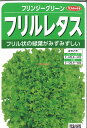  □ フリンジーグリーンフリルレタス■葉野菜 他 種種子 種子そ 他種子 ブロッコリー カリフラワー レタス 種 葉野菜 他 種種子 種子そ 他種子 ブロッコリー カリフラワー レタス 種 葉野菜 他 種種子 種