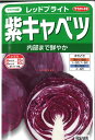【代引不可】【送料5袋まで80円】 seed たね tane 種 種子 □レッドブライト 紫キャベツ ◇種子種子 キャベツ 種レッドブライト 紫キャベツ種子種子 キャベツ 種 seed たね tane 種 種子レッドブライト 紫