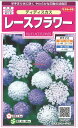 【代引不可】【送料5袋まで80円】 □レースフラワー ディディスカス