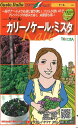 【代引不可】【送料5袋まで80円】 □ ケール ケール カリーノケール ミスタ■種子 キャベツ 種葉野菜 他 種ハーブ 種 種子 キャベツ 種葉野菜 他 種ハーブ 種 種子 キャベツ 種葉野菜 他 種ハーブ 種 種子 キャベツ 種葉野菜 他 種ハーブ