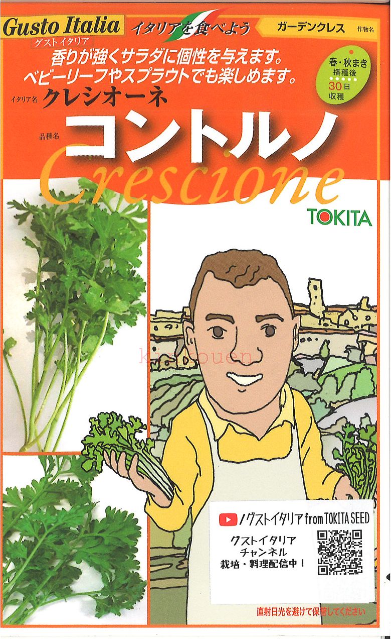  □ ガーデンクレス クレシオーネ コントルノ コショウソウ■葉野菜 他 種ハーブ 種 葉野菜 他 種ハーブ 種 葉野菜 他 種ハーブ 種 葉野菜 他 種ハーブ 種 葉野菜 他 種ハーブ 種 葉野菜 他 種ハーブ