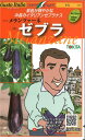 【代引不可】【送料5袋まで80円】 seed たね tane 種 種子 □ナス メランツァーネ ゼブラ ◇種子種子 ナス 種ナス メランツァーネ ゼブラ種子種子...