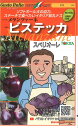 【代引不可】【送料5袋まで80円】 seed たね tane 種 種子 □ナス メランツァーネ ビステッカスペリオーレ ◇種子種子 ナス 種ナス メランツァーネ...
