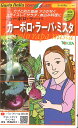 【代引不可】【送料5袋まで80円】 □ コールラビ カーボロ・ラーパ カーボロ・ラーパ・ミスタ■種子 キャベツ 種葉野菜 他 種種子 大根 カブ 種 種子 キャベツ 種葉野菜 他 種種子 大根 カブ 種 種子 キャベツ 種葉野菜 他 種種子