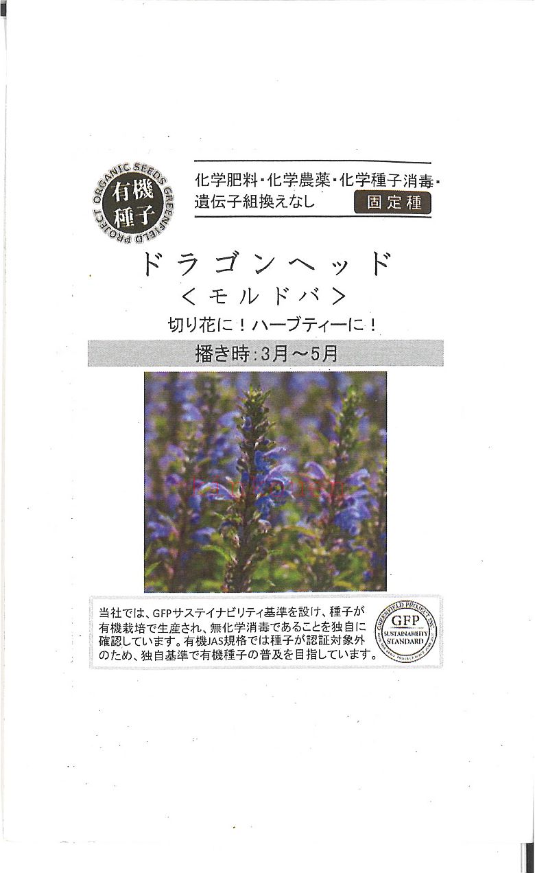 【代引不可】【送料5袋まで80円】◇ seed たね tane 種 種子 タネ □ドラゴンヘッドモルドバ■花 種 花 種 花 種 花 種 花 種 花 種 花 種 花 種 花 種 花 種 花 種 花 種 花 種■花 種 花 種 花 種 花■