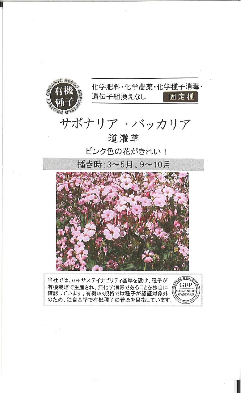 ◇ seed たね tane 種 種子 タネ □サポナリア・バッカリアドウカンソウ道灌草■花 種 花 種 花 種 花 種 花 種 花 種 花 種 花 種 花 種 花 種 花 種 花 種 花 種■花 種 花 種