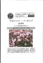 【代引不可】【送料5袋まで80円】 seed たね tane 種 種子 □サポナリア・バッカリア ◇種子種子 花 種サポナリア・バッカリア種子種子 花 種 se...