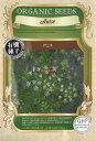 【代引不可】【送料5袋まで80円】 seed たね tane 種 種子 □アニス ◇アニス seed たね tane 種 種子アニス seed たね tane 種 種子アニス seed たね tane 種 種子アニス アニス seed たね t