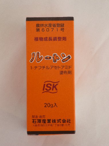 □ 石原ルートン20g