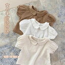子供 ガールズ ブラウス 半袖 フリル 女の子 キッズ服 小学生 フォーマル シャツ 入学式 卒園式 かわいい おしゃれ 子供服 キッズ シャツ ベビー 卒業式...