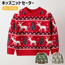 キッズ ニットセーター ベビー 子供服 クリスマス セーター クリスマスツリー柄 可愛い 男の子 女の子 レッド 子供 男女兼用 衣装 子供 秋冬 ベビー服 長...