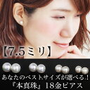 【あす楽対応】7.5mm 本真珠 18金 ホワイトゴールドピアス レディース・ピュラス アコヤ真珠 18K K18 一粒ピアス 一粒パール シンプル あこや 結...