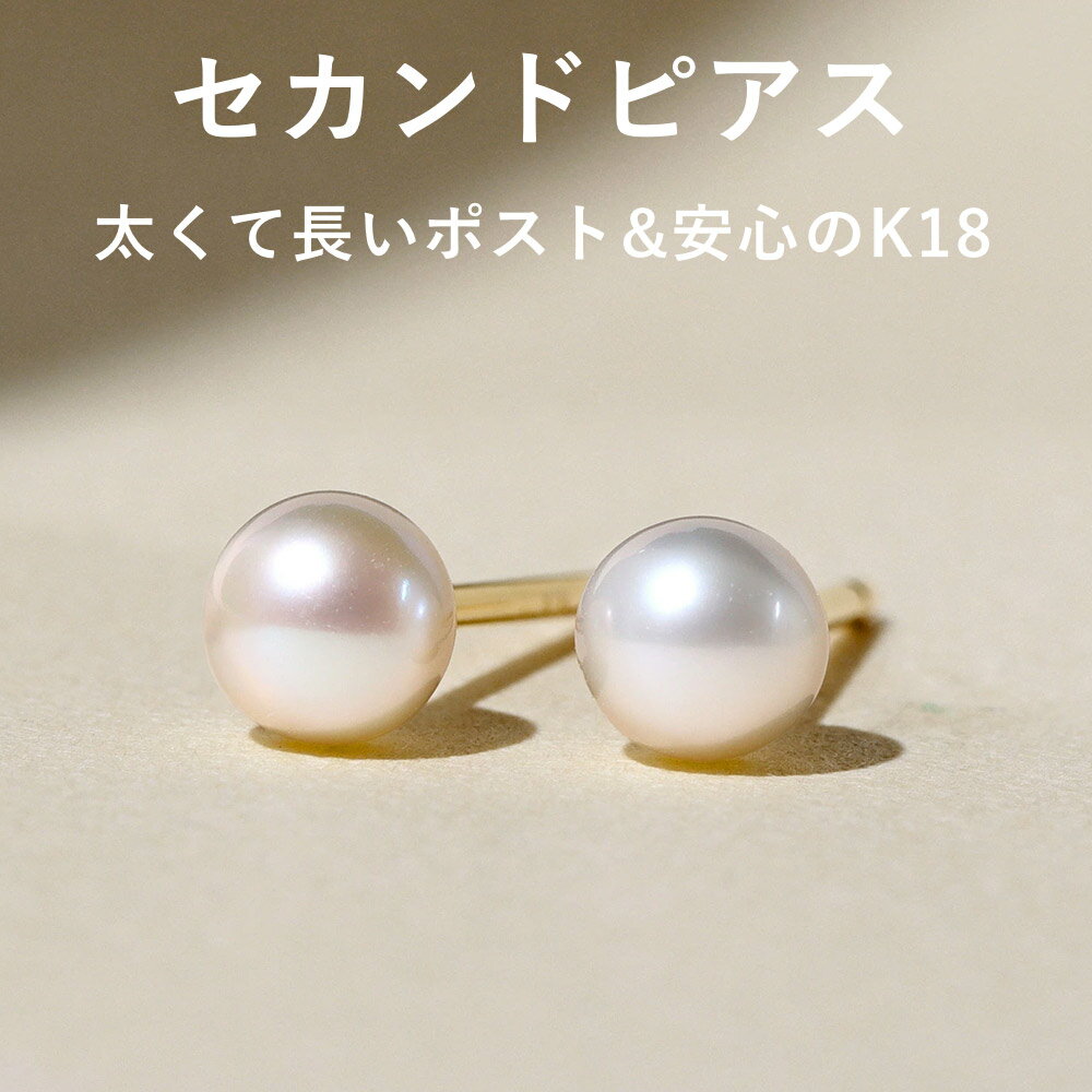 【3日以内出荷】軸太0.8mm 長さ12mm 4�