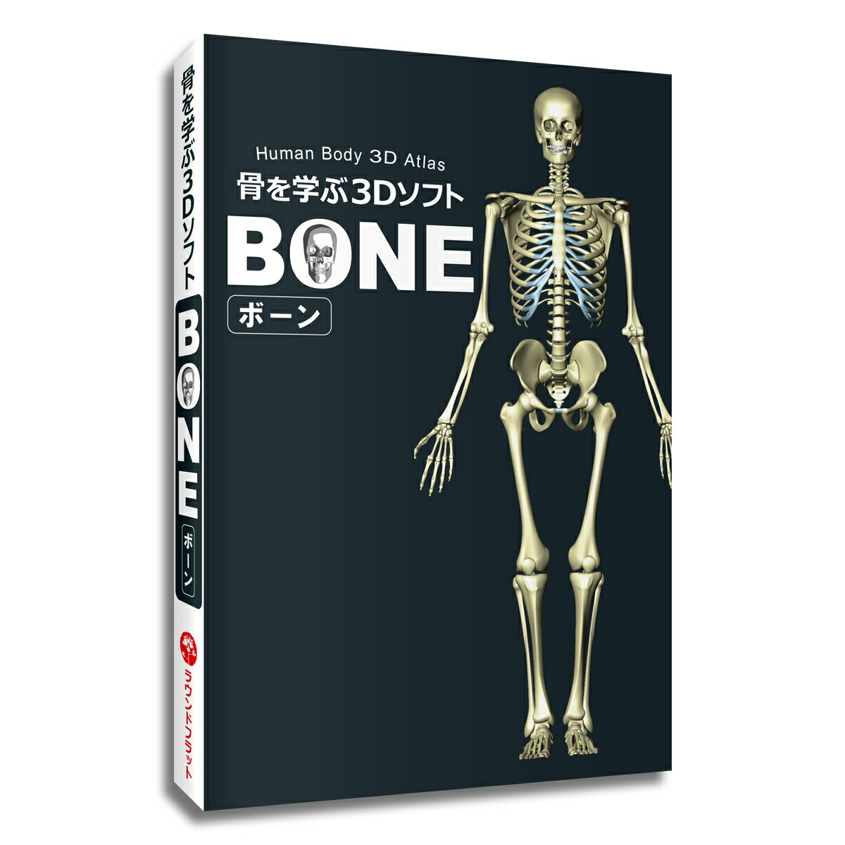 製品仕様 商品名 骨 名前 名称 「骨を学ぶ3DソフトBONE（ボーン）」 パソコンソフト Windows Mac 3DCG 骨学 部位 人体 骨格 勉強 学習 日本語 英語 音声 解説 送料無料 キャンペーン 動作環境 ■Windows／OS：Windows7、8.1、10（64bit） ■Mac／macOS 10.12 以降（日本語版） ■CPU：Intel Core i3 以上推奨 ■GPU：DX10性能を持つグラフィックスカード ■RAM：4GB 以上推奨 ■HDD・SDD：5GB以上の空き容量 ■ディスプレイ：解像度最低1280×768以上（24bit以上推奨） 注）タッチパネル（操作）非対応 ■その他：CD‐ROMドライブ（必須）、3ボタンマウス（必須） インターネット接続環境 解剖学監修 桜木晃彦（医学博士） ISBN 978-4-904613-55-9骨は人体を学ぶ基礎BONEで3次元の理解を深めよう！ 人体の基本は骨。 頭部の骨から体幹、上肢・下肢の骨と部位名称を完全網羅。 3DCGだから骨と骨の部位を立体的に観察できます。 マウス操作一つで回転、拡大縮小、移動が思いのまま。 さらに骨をマウスクリックで消すこともできます。 骨や部位名は日本語と英語で表記、解説テキストの他、英語音声データも収録しています。 BONE収録の骨用語はラウンドフラットのカンパニーページよりご確認ください。