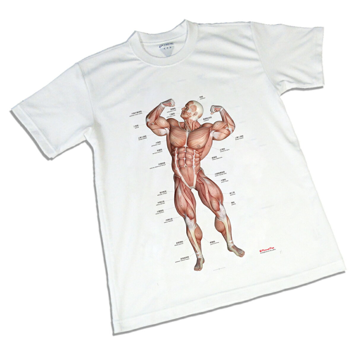 筋肉柄 Tシャツ 半袖 「筋次郎デザイン」 スポーツ 運動 トレーニング 両面プリント フルカラー 着心地 抜群 解剖 送料無料 キャンペーン