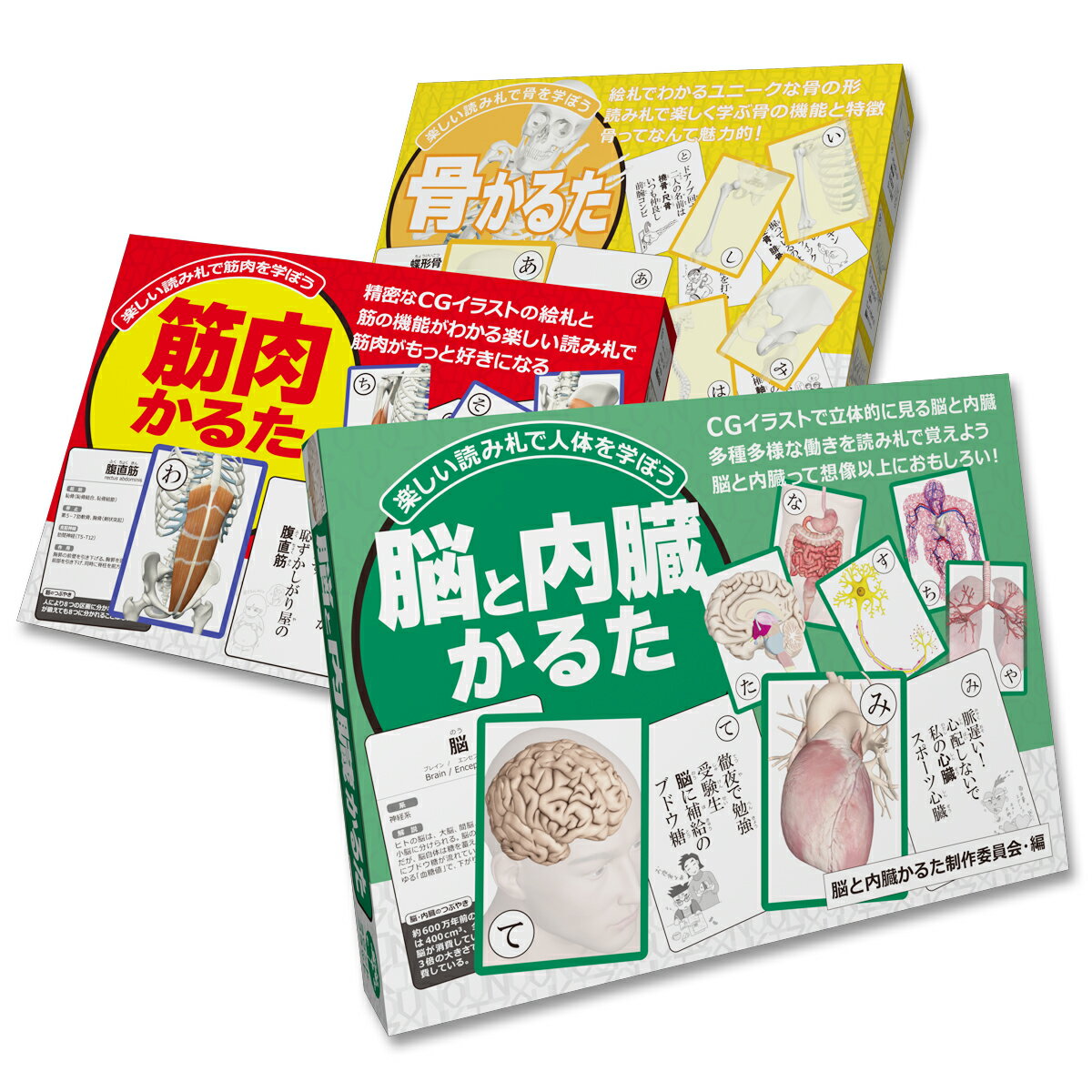 かるた 子ども 大人 筋肉 骨 脳と内臓 解剖学かるた 3点セット 読み上げ アプリ対応 カードゲーム ふりがな 名前 名称 特徴 全身 イラスト