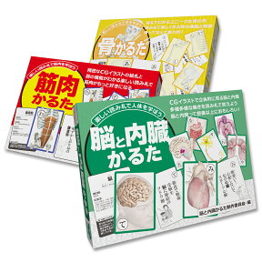 かるた 子ども 大人 「 筋肉 骨 脳と内臓 解剖学かるた 3点セット 」 読み上げ アプリ対応 カードゲーム ふりがな 名前 名称 特徴 全身 イラスト